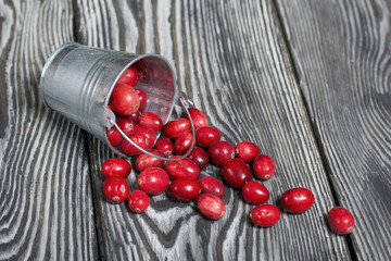 Wall Mural - A metal bucket filled with ripe red cranberries. The bucket is overturned, the berries are scattered on the surface. Autumn berries. On black pine boards. Close-up shot.