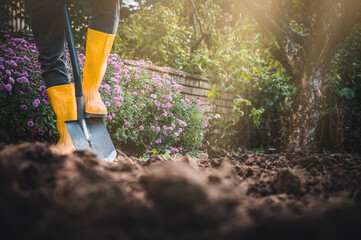 Worker digs soil with shovel in colorful garden, agriculture concept autumn detail. Mans yellow boot or shoe on spade prepare for digging.