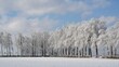 canvas print picture - Eifel Hohes Venn winter schnee baeume  