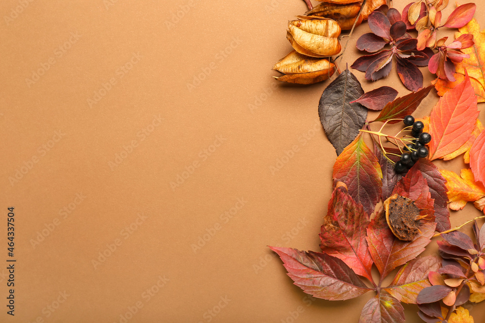 Different natural decor and autumn leaves on color background, closeup