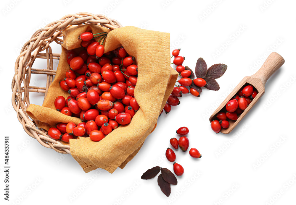 Basket and scoop with fresh rose hip berries on white background