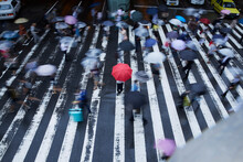 歩道で傘を持ってたたずむ女性を上から見る ,日本,大阪府,大阪市,淀川区,角田町9丁目