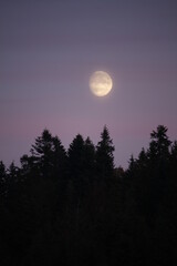 Wall Mural - moon and clouds