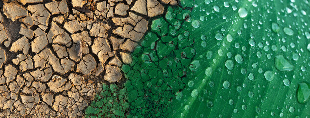 crack soil texture and freshness green leave in climate change environmental concept background