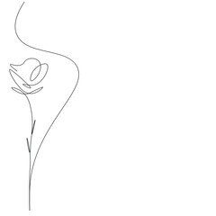 Wall Mural - Rose flower silhouette line drawing on white background, vector illustration	