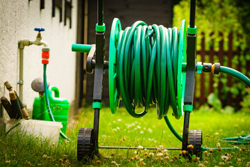 Wall Mural - Garden hose for watering plants in garden