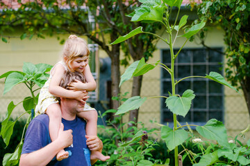 Wall Mural - Little preschool girl sitting on shoulder of father with huge sunflower in domestic garden. Happy family, child and dad, middle-aged man cultivating flowers. Kids and ecology, environment concept.