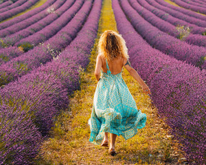 Woman in curly hair wearing blue dress and walking in violet lavender field. Rear view of stylish woman in backless dress amidst beautiful lavender field. Back of woman enjoying amidst flower field