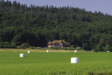 Wall Mural - Mansion beside a forest with ensilage on a green farm field with yellow foreground