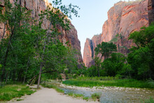 River Runs Through Forest With Towering Red Sandstone Cliffs On Either Side. Zion Canyon, Utah, USA.