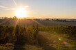 Setting sun seen from a vineyard in the hills between Umbria and Tuscany. Golden sunset light and grape cultivation for high quality wine. Italian landscape at sunset, countryside and quiet life