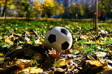 Wall Mural - the ball is lying on the street in a pile of leaves