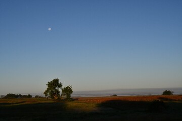 Wall Mural - Moon Over a Cloudy Autumn Field