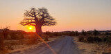 baobab sunset on the road