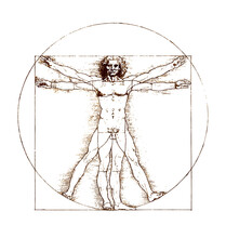 Leonardo Da Vinci Vitruvian Man Sketch