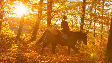 Wall Mural - LENS FLARE: Young female horseback rider explores the woods at golden sunset.