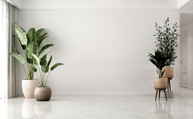 Home and decoration and living room interior design and empty wall pattern background and plants decor