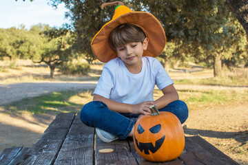 Child Enjoying All Saints' Eve. 6 Year Old Boy  In The Field , They Have A Pumpkin And A Witch Hat. Image With Copy Space