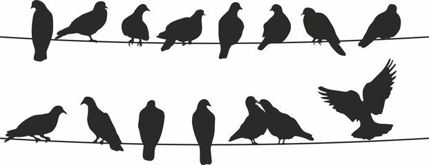 Vector silhouettes of birds. Doves on wires. Shadows of seated and flying birds.
