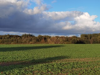 Wall Mural - field and sky