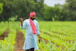 © Niks Ads - Young indian farmer standing at green turmeric agriculture field.