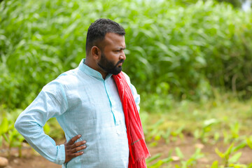 Poster - Young indian farmer standing at green turmeric agriculture field.