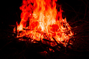 Poster - Close up shot of a big fire flame of a wood burning in the dark, night photography