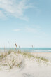 © Martin - grass growing on a small sand dune at a white sand beach with the calm ocean in the background in bright and airy colors