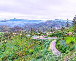 Sticker - The winding road among the green slopes, covered with tea estates, Boragasketiya, Sri Lanka.