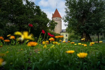 Poster - Nuns Tower (Nunna Tower) part of medieval Tallinn City Wall - Tallinn, Estonia