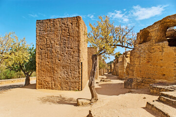 Sticker - The walk among temples in Agrigento, Sicily, Italy