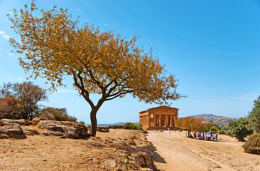 Canvas Print - The Greek Temples in Agrigento, Sicily, Italy