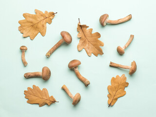 Wall Mural - Oak leaves and autumn mushrooms on a blue background.