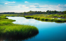 Curving River And Green Marshland On Cape Cod At High Tide. Vibrant Colors Of The Green Marsh Plants And Blue Sky With Reflections On The Water Surface.
