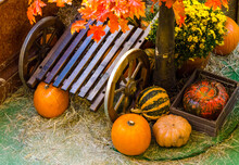 Orange Pumpkins Lie In An Autumn Decoration With Flowers And Wooden Cart
