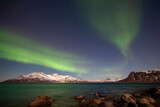 Fototapeta Natura - Northern lights aurora borealis in Tromso, Norway