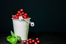 Organic Cranberries In A White Bucket With A Sprig Of Mint On A Dark Background