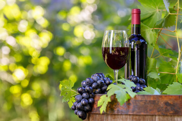 Wall Mural - bottle and glass of red wine on wooden barrel in garden