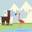 llamas and flamingo