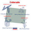 © foxyliam - Colorado. Set of USA official state symbols