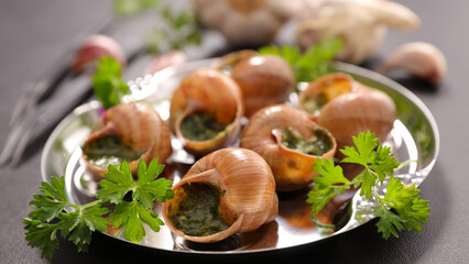 Wall Mural - escargot with butter and parsley