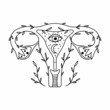 Vector drawing of a female uterus
