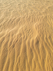  sand ripples in the desert