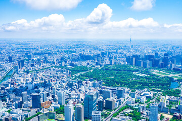 Wall Mural - 東京都心部 空撮写真