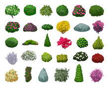 Vector Collection Of Colored Detailed Bushes. Landscape Elements Isolated On White Background.