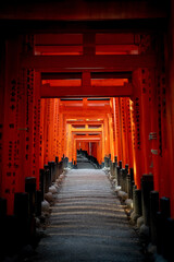 Canvas Print - Vertical shot of the Fushimi Inari Taisha hallway in Kyoto, Japan