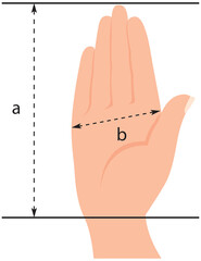 Glove sizing template. Glove Sizing Charts. Template for measuring gloves. Vector illustration
