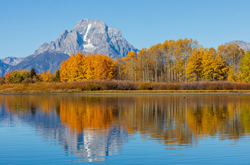 Sticker - Scenic Landscape in Grand Teton National Park in Autumn