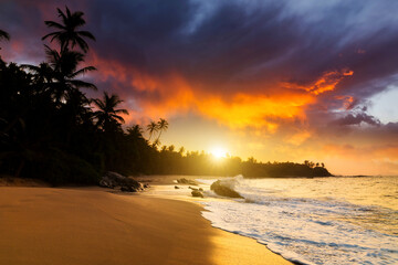 Wall Mural - Romantic sunset on a tropical beach with palm trees