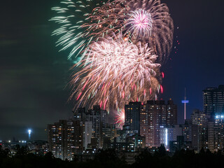 Wall Mural - Firework display cityscape of Taipei, Taiwan.